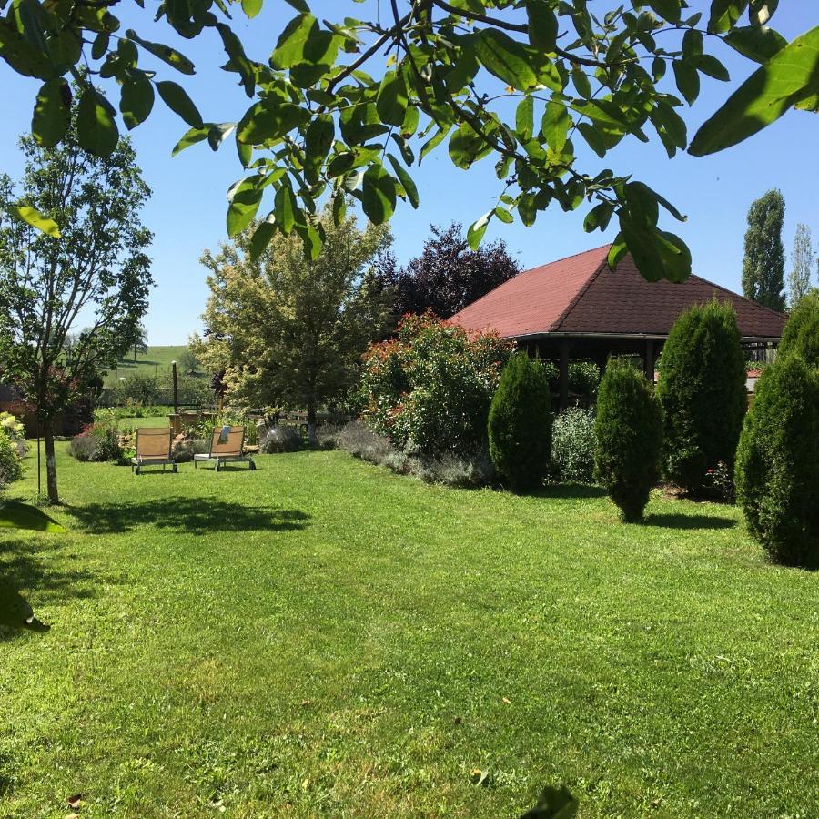Domaine De La Mance - Maisonnette Avec Cheminee * Vitrey-sur-Mance